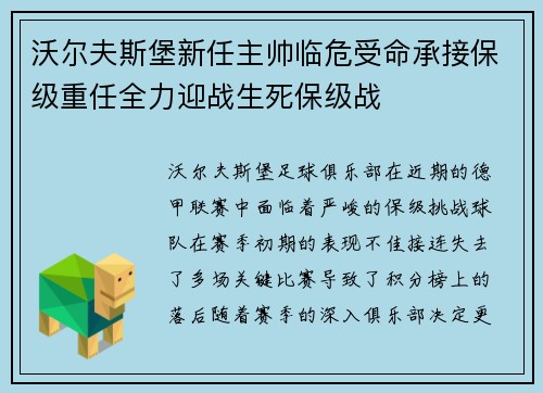 沃尔夫斯堡新任主帅临危受命承接保级重任全力迎战生死保级战